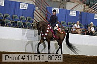 11r12_8079 proof