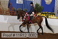 11r12_8082 proof