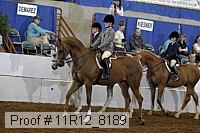 11r12_8189 proof