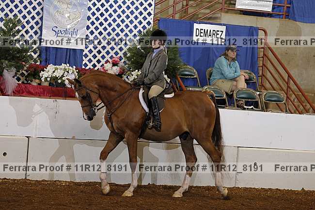 Proof 11r12_8191