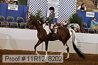 11r12_8202 proof