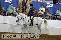 11r12_8207 proof
