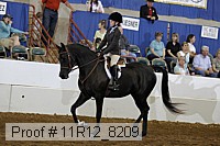 11r12_8209 proof