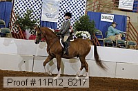 11r12_8217 proof