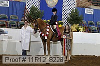 11r12_8228 proof