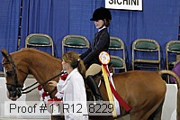 11r12_8229 proof