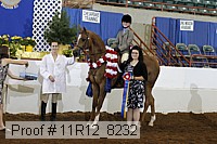 11r12_8232 proof