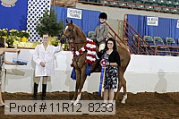 11r12_8233 proof