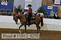 11r12_8270 proof