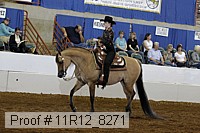 11r12_8271 proof