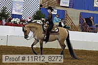 11r12_8272 proof