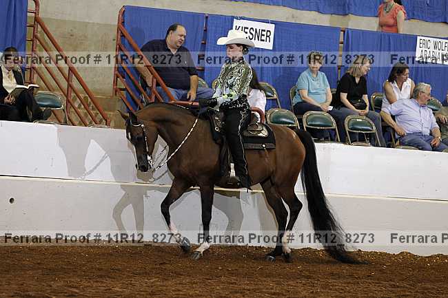 Proof 11r12_8273