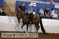 11r12_8273 proof