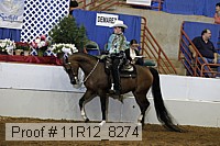 11r12_8274 proof