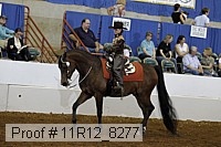 11r12_8277 proof
