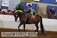 11r12_8279 proof