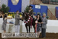 11r12_8282 proof