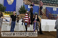11r12_8289 proof