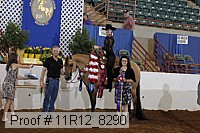 11r12_8290 proof