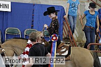 11r12_8292 proof