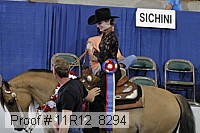 11r12_8294 proof
