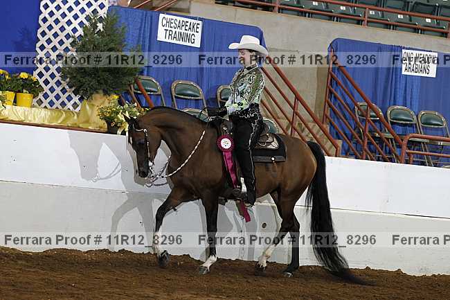 Proof 11r12_8296