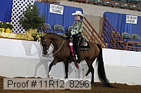 11r12_8296 proof