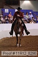11r12_8298 proof