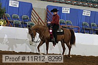11r12_8299 proof