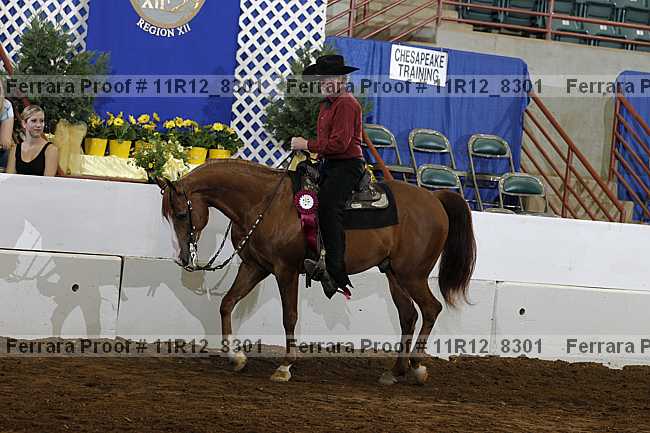 Proof 11r12_8301