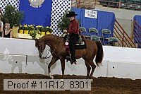 11r12_8301 proof
