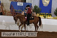 11r12_8302 proof