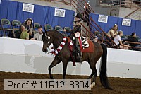 11r12_8304 proof