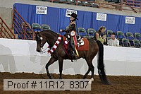 11r12_8307 proof