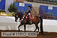 11r12_8308 proof