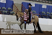 11r12_8313 proof