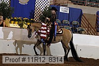 11r12_8314 proof
