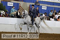 11r12_8319 proof