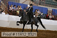 11r12_8321 proof