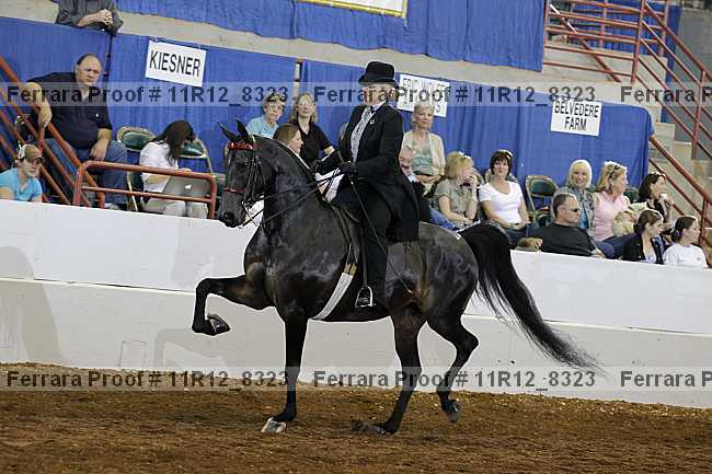 Proof 11r12_8323