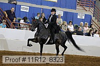 11r12_8323 proof