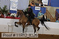 11r12_8325 proof