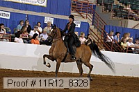 11r12_8328 proof