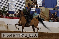 11r12_8330 proof