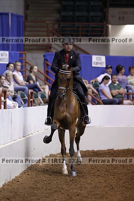 Proof 11r12_8334