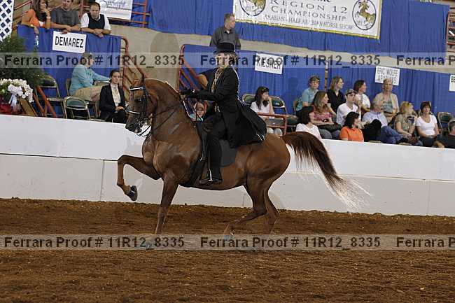 Proof 11r12_8335