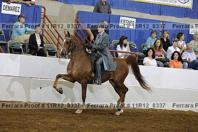 Proof 11r12_8337