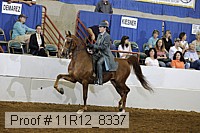 11r12_8337 proof