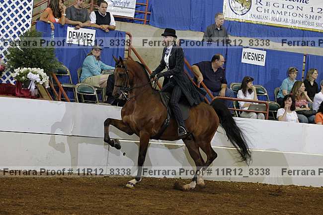 Proof 11r12_8338