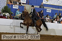 11r12_8338 proof